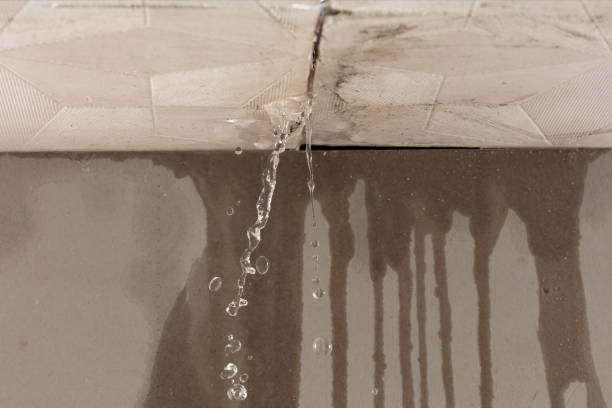 Professional Structural Drying technician working in Custer, MI